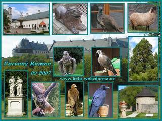 C Kamen 2007